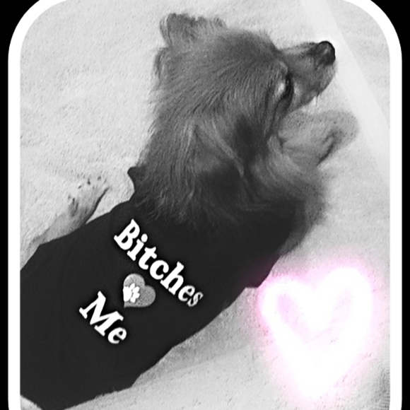 Meet your Posher, Celeste - Picture 5 of 6